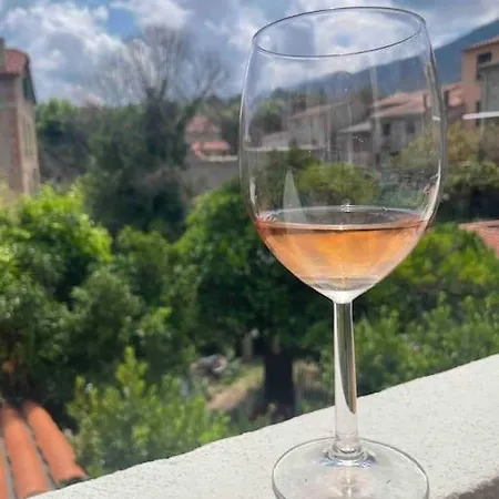 Neuf, Grande Terrasse Plein Sud Apartmán Laroque-des-Albères